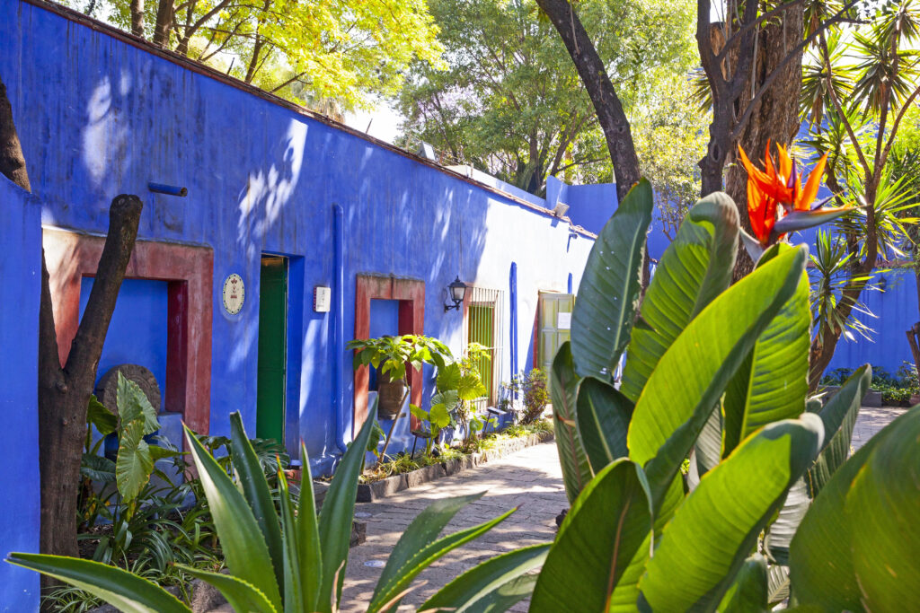 exterior of frida kahlo house museum, one of the best things to do in mexico city. building is blue and agave plants are in the foreground of the photo