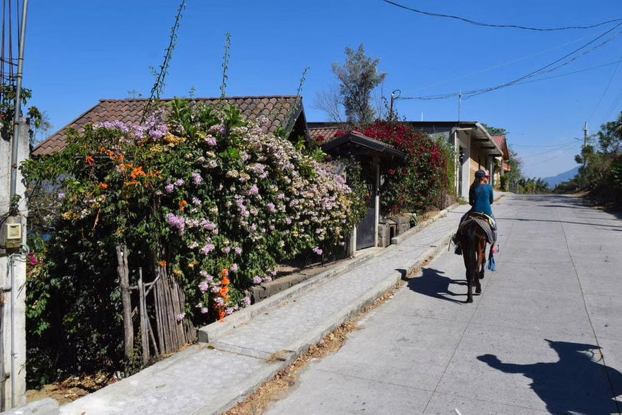 person riding a horse along a small paved street in guatemala, street is lined with flowers