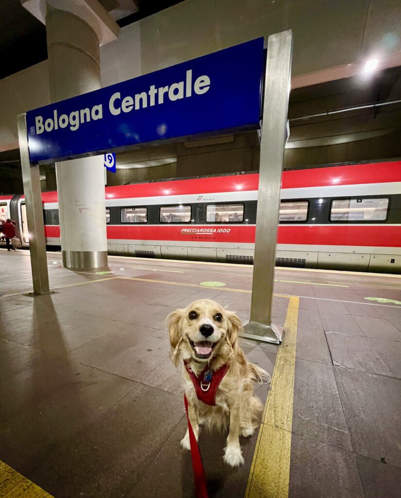 ranger storm sitting on the train platform at bologna centrale with train station sign behind him