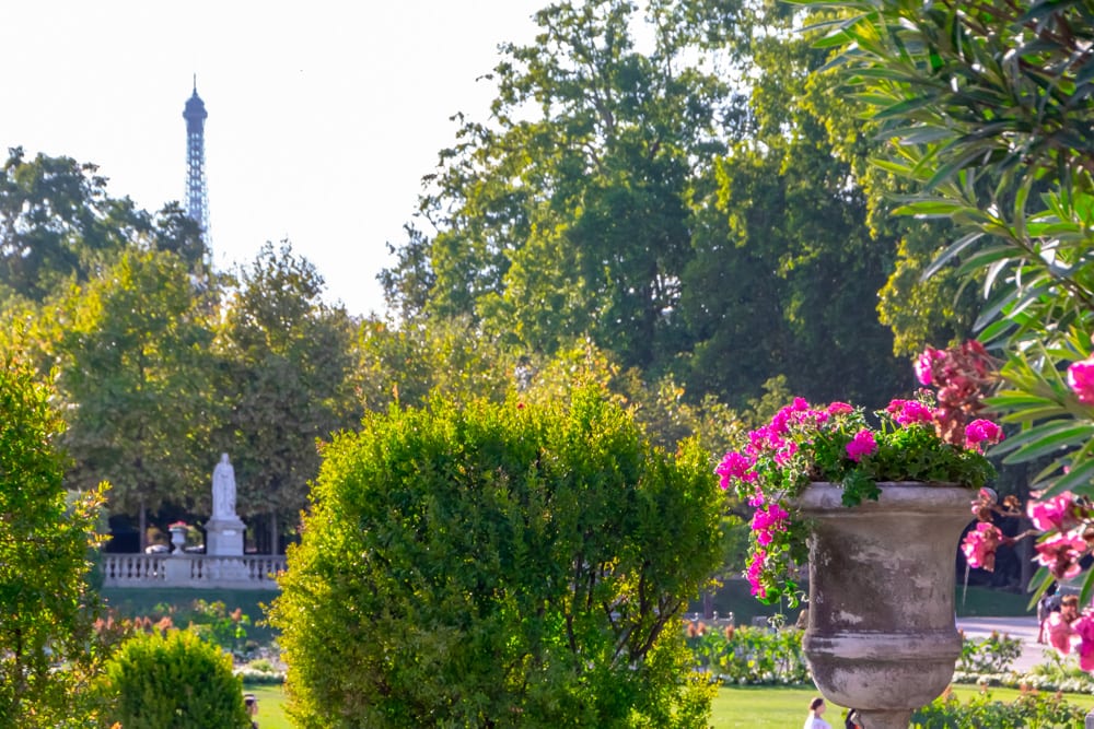 view of luxembourg gardens blooming flowers in the summer with eiffel tower visible in the distance