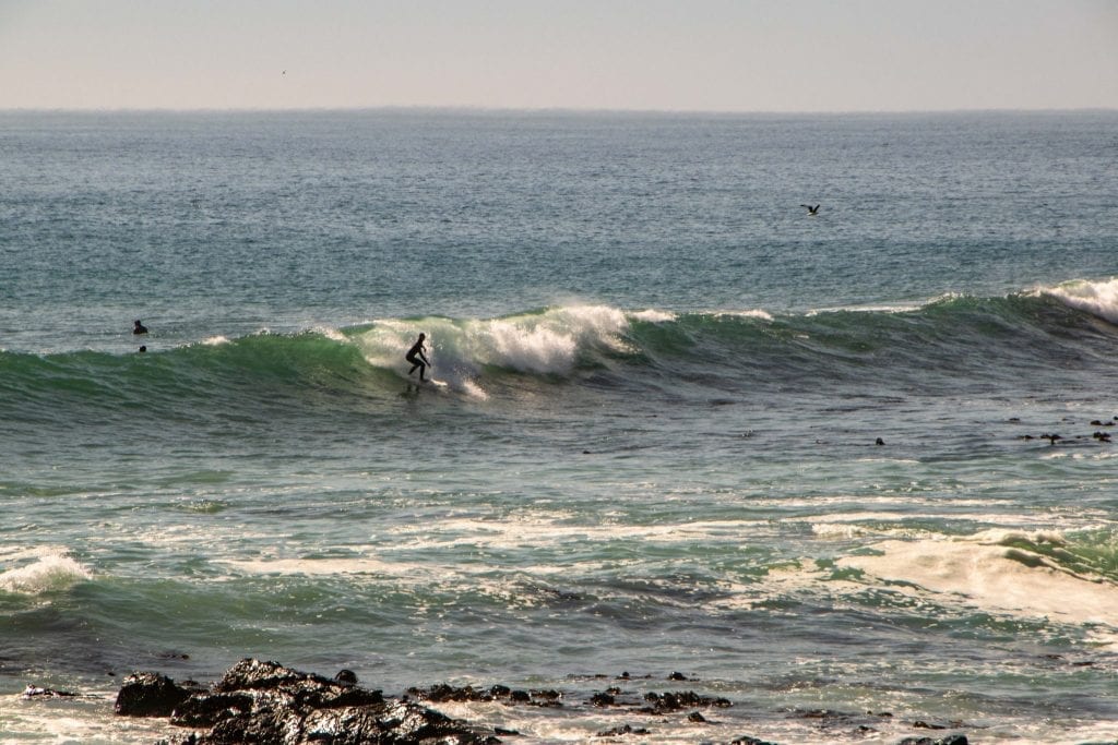 view of a surfer near seapoint in cape town south africa