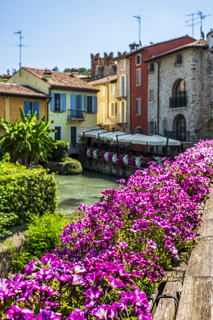 colorful buildings of Borghetto sul Mincio italy with purple flowers and water in the foreground