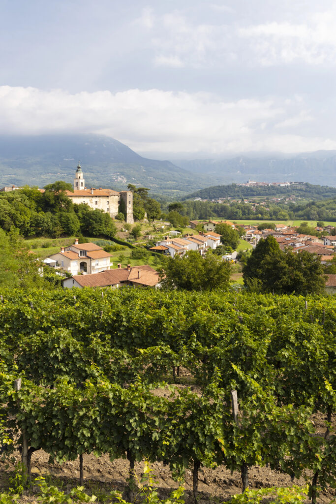 view of the vipava valley with vineyards in the foreground and village in the background, one of the best ljubljana slovenia day trip destinations