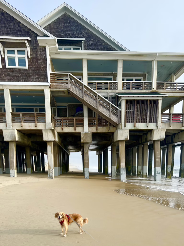 ranger storm standing on the sandy beach in front of the pier at nags head north carolina outer banks towns