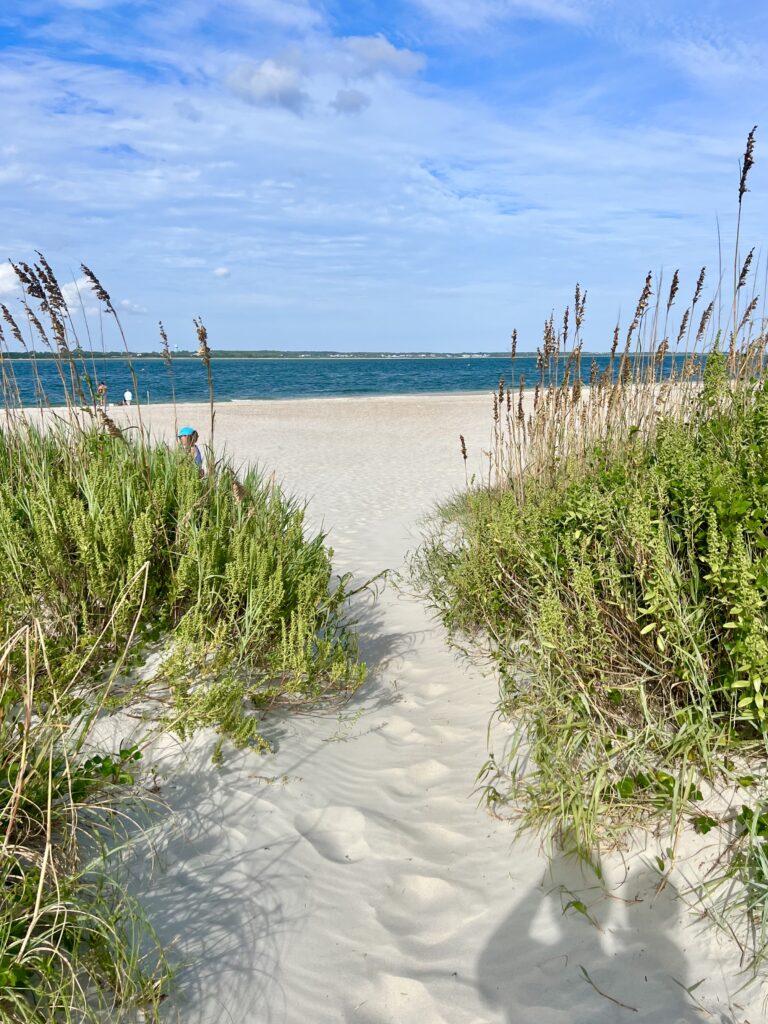 sandy path lined with sea oats leading to beaufort inlet in fort macon state park north carolina