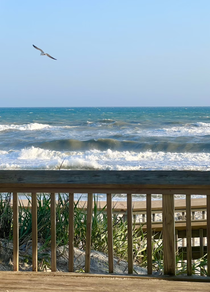 beach at fort macon north carolina as seen from picnic shelter above the sand, with a seagull in the background.