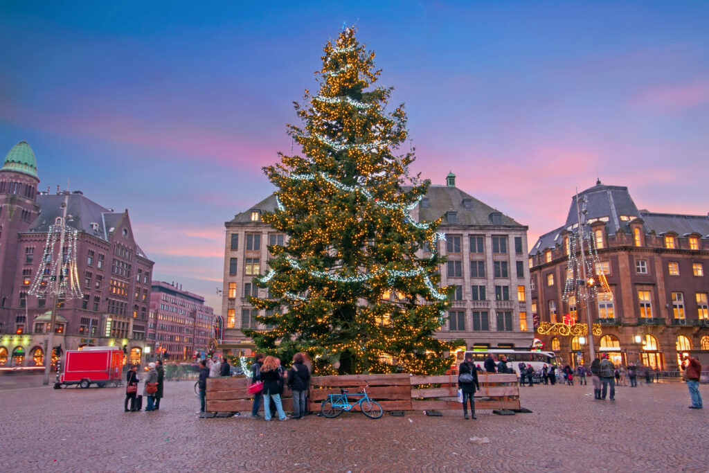 sunset in dam square with christmas tree centered in the photo in amsterdam december