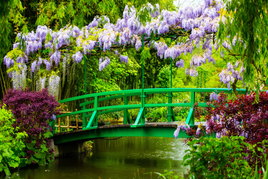 green bridge in monets garden in giverny france with wisteria blooming over it, one of the best day trips from paris
