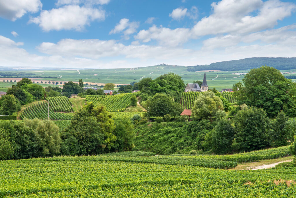 vineyards in the champagne countryside near reims france, one of the best paris day tour ideas