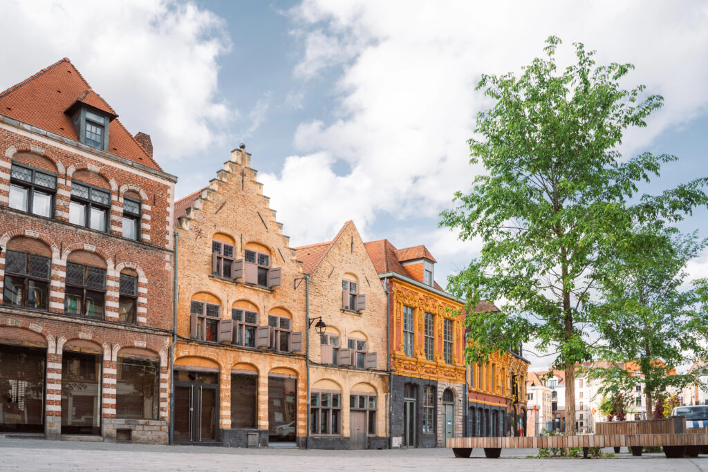 flanders style building facades with dramatic roof pitches in lille france