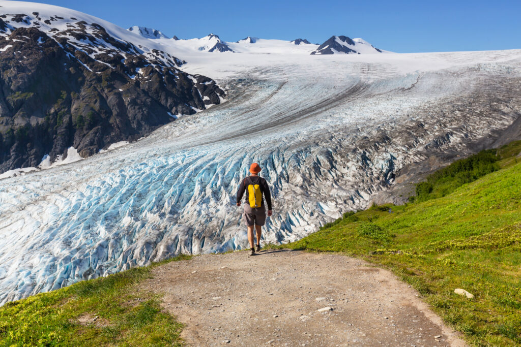 person walking toward exit glacier alaska on a sunny day, with the glacier taking up most of the photo