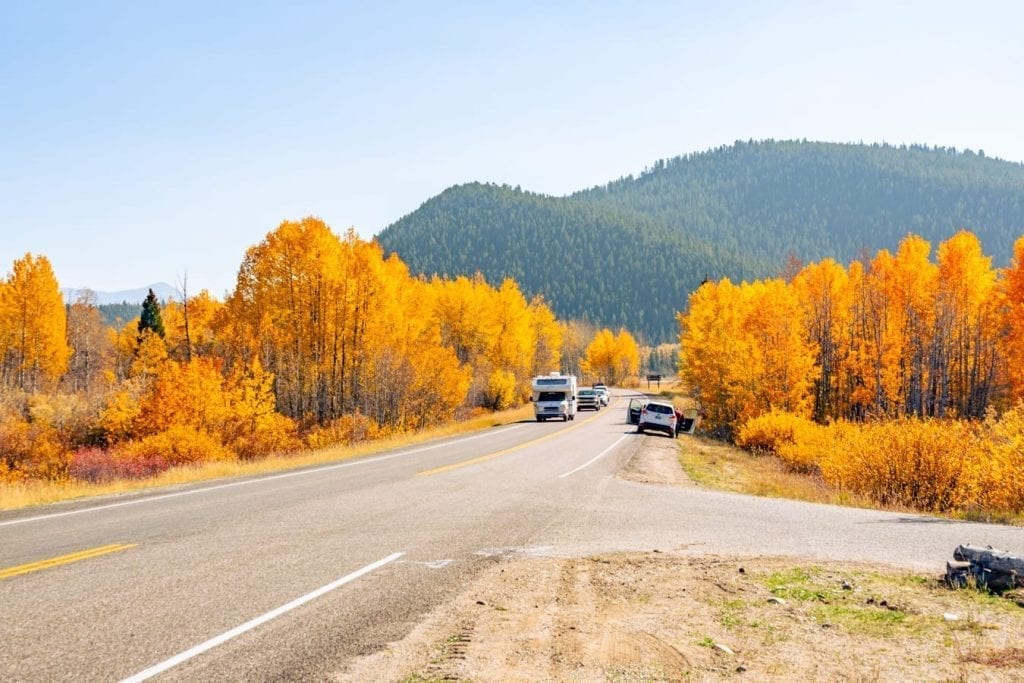 bright orange larch trees along a two lane road in grand teton national park in october