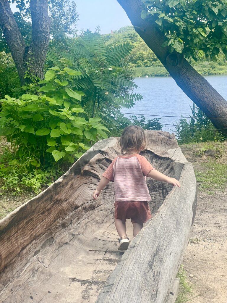 young toddler walking in a dugout canoe at patuxet homesite