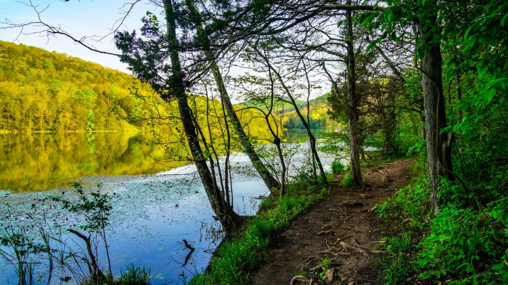 lake leatherwood in eureka springs arkansas as seen from a trail on the edge of the lake