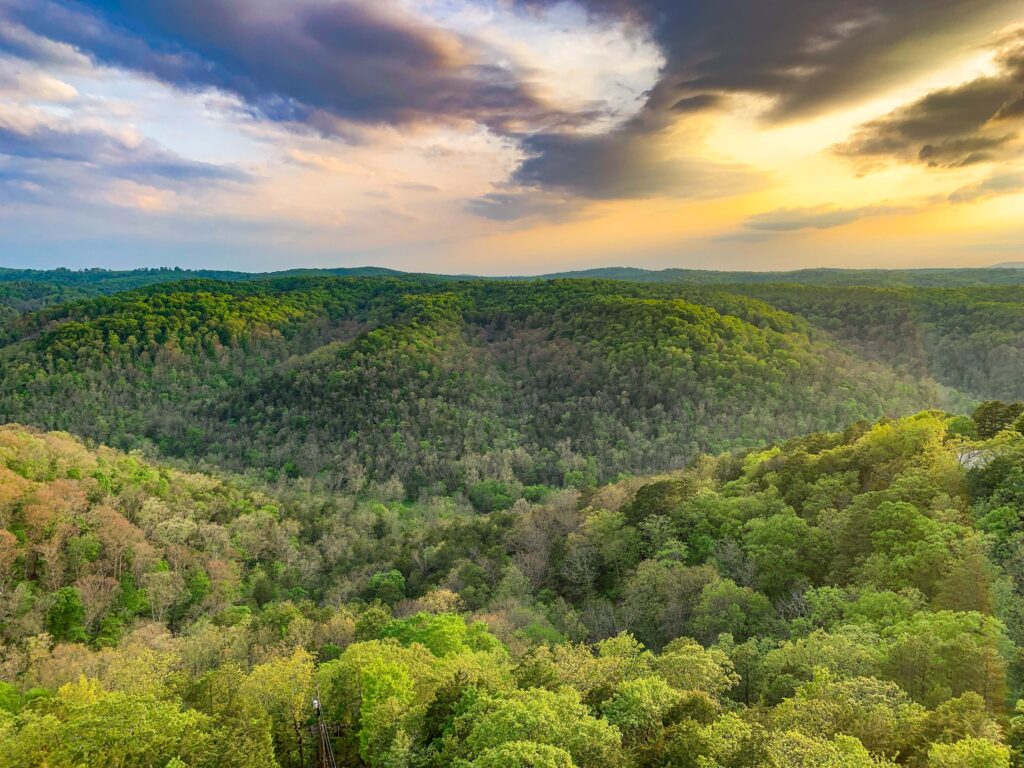 view of forests of the ozark mountains at sunset as seen from a lookout tower in eureka springs weekend trip