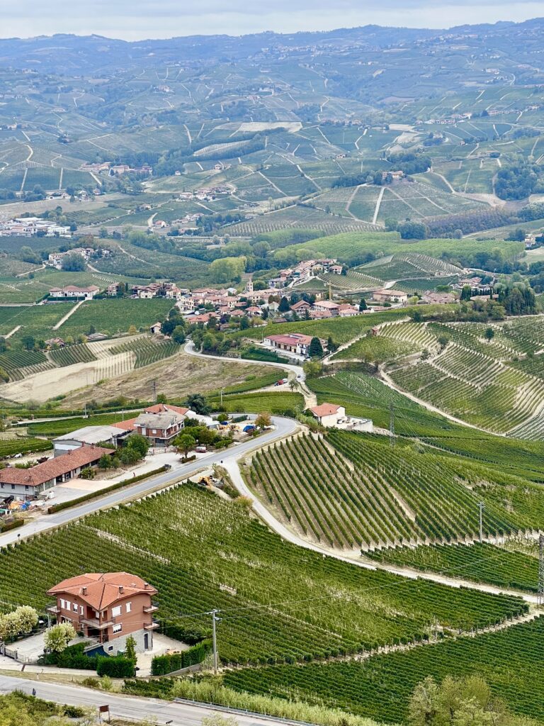 view of langhe italy landscape from the belvedere di la morra showing vineyards and country homes