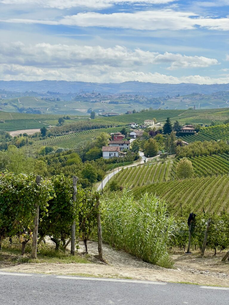 view of vineyards of the langhe region piedmont as seen from a country road near la morra
