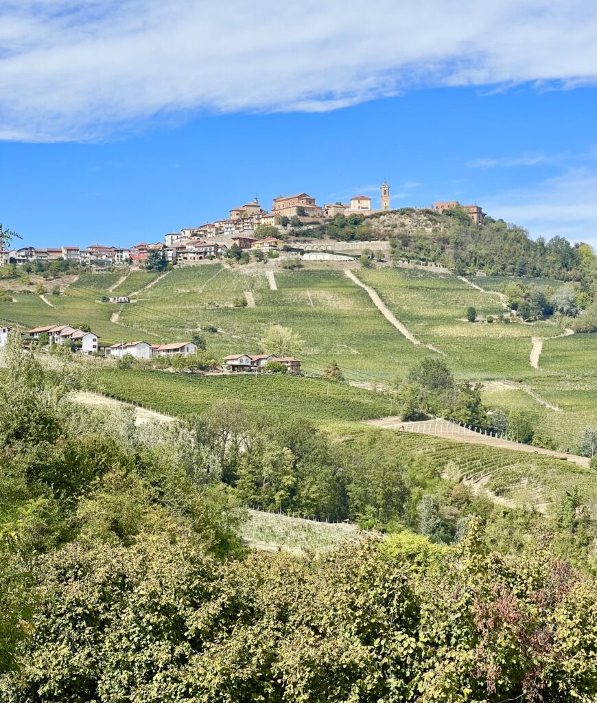 view of la morra italy from outside of town as seen standing amongst vineyards of langhe region