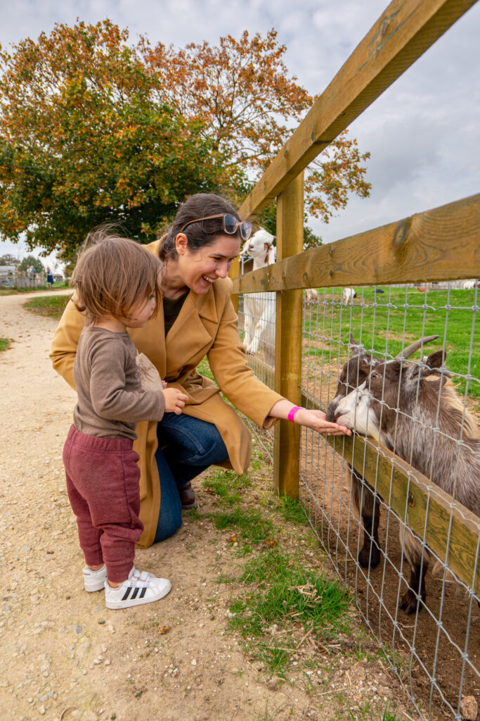 kate storm and her toddler feeding goats at the cotswold farm park, one of the best things to do in the cotswolds england