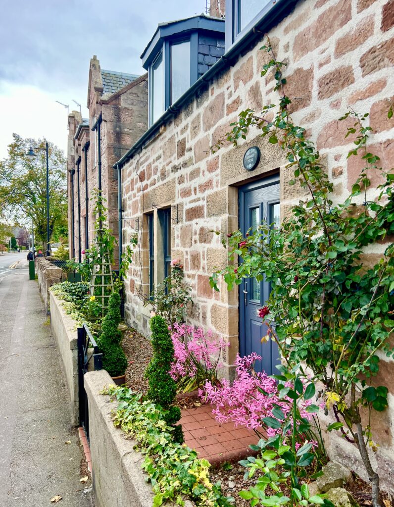 view of stone houses with small gardens in front including blooming pink flowers as seen when visiting inverness scotland