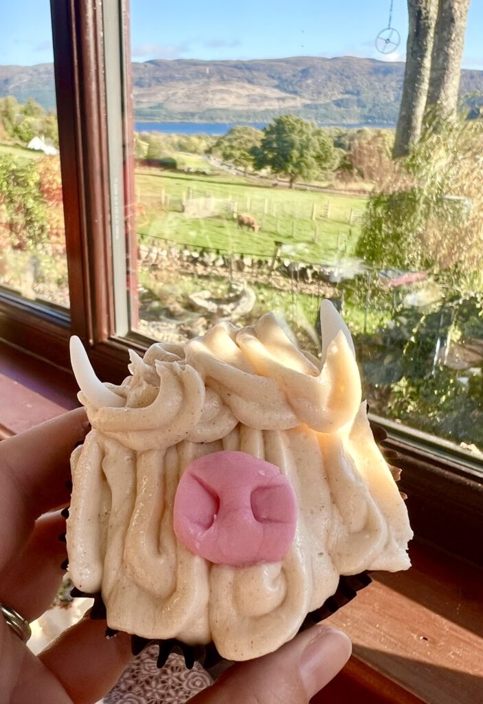 cupcake decorated like a hairy coo being held up in front of a window in scotland