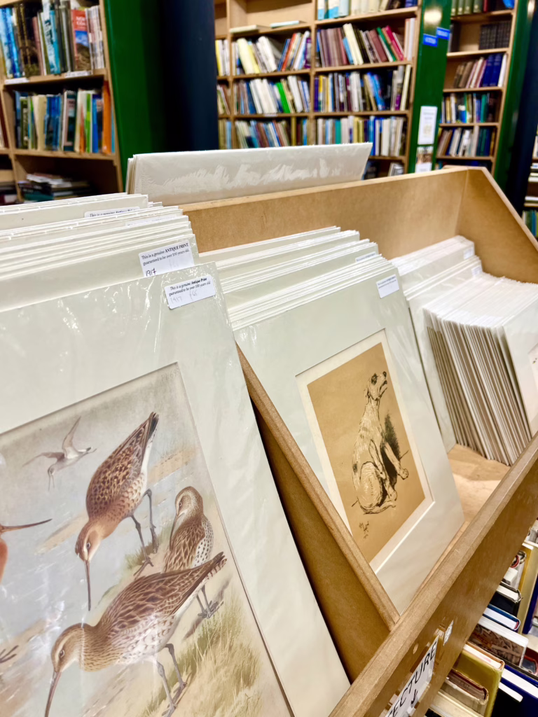 collection of antique prints for sale in leakeys bookshop inverness scotland