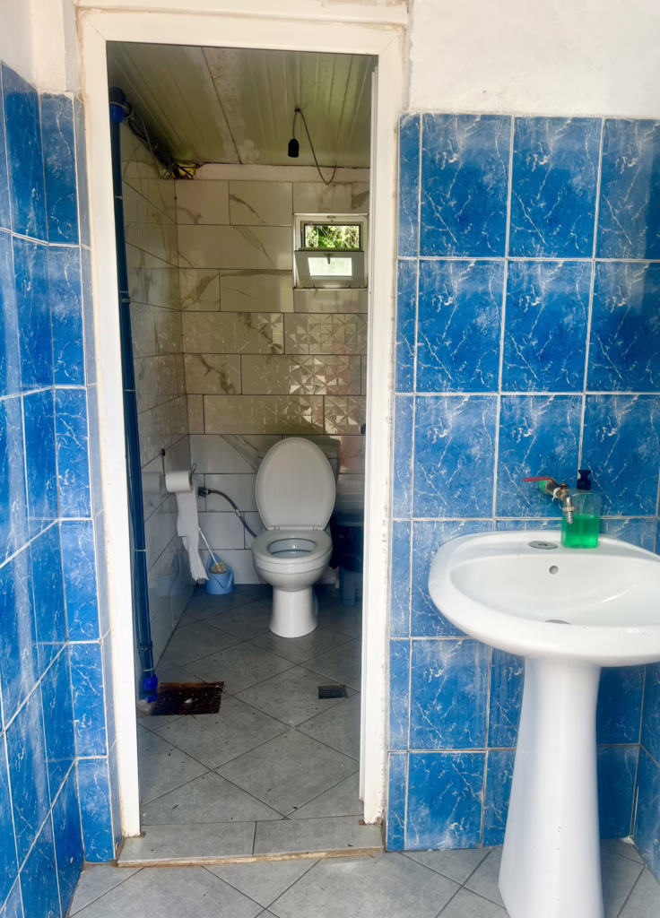 toilet and sink framed by blue tile in albania