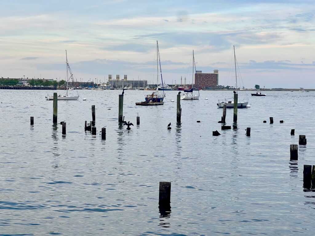 view of boats near sunset from lewis wharf in boston ma