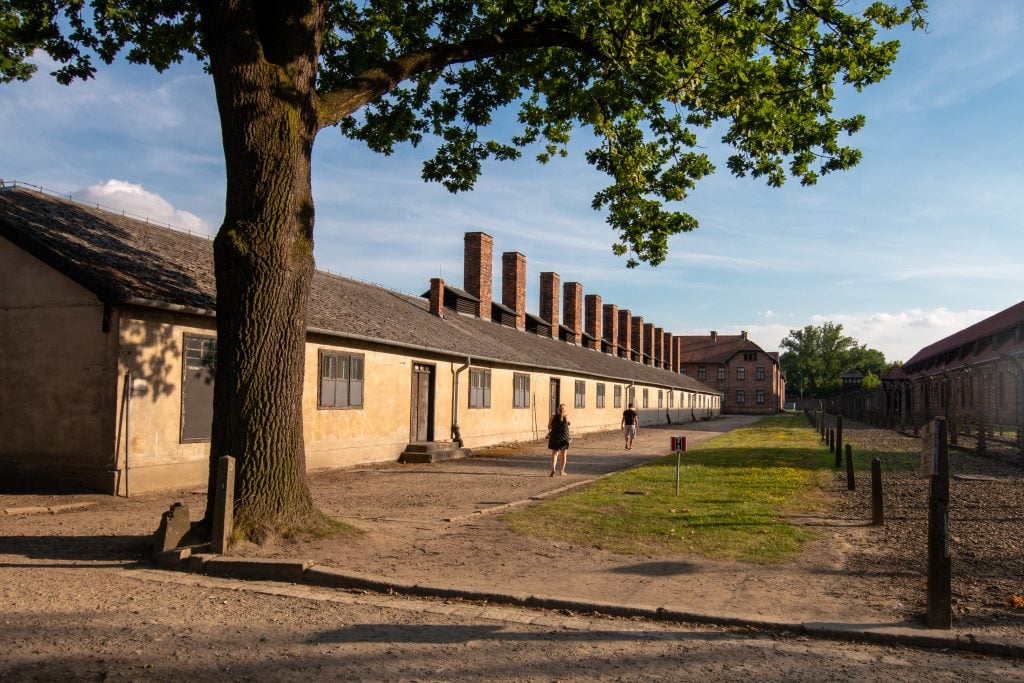 exterior of auschwitz concentration camp crematorium building with tree growing in the foreground