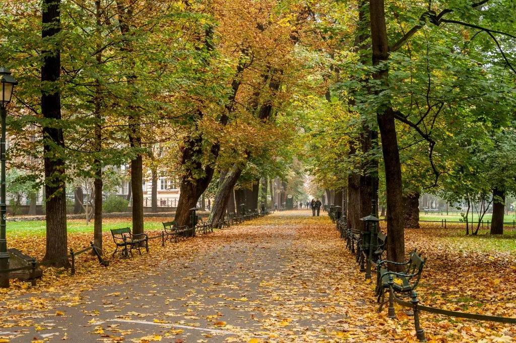 planty park in krakow poland in the fall, with a paved path in the center of the photo