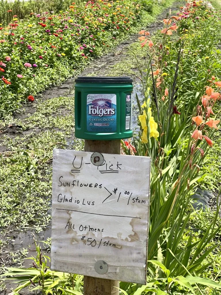 flowers for sale at jw merrell farm in beaufort north carolina