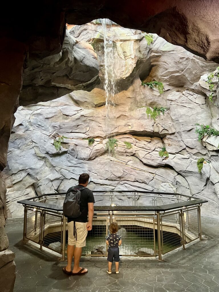 jeremy storm and his young son looking up at a waterfall display at the north carolina aquarium at pine knoll shores