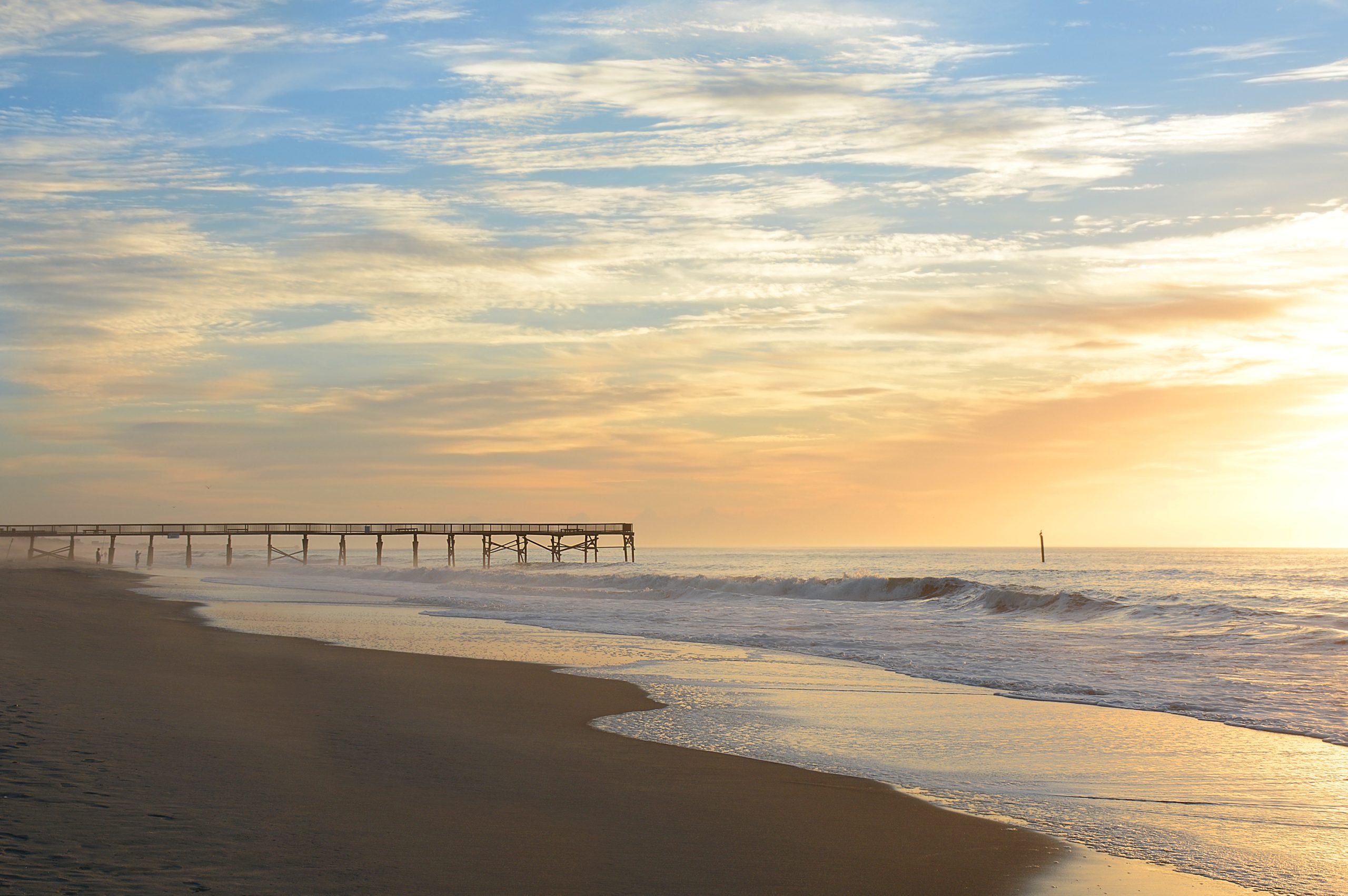 dolphin tours atlantic beach nc