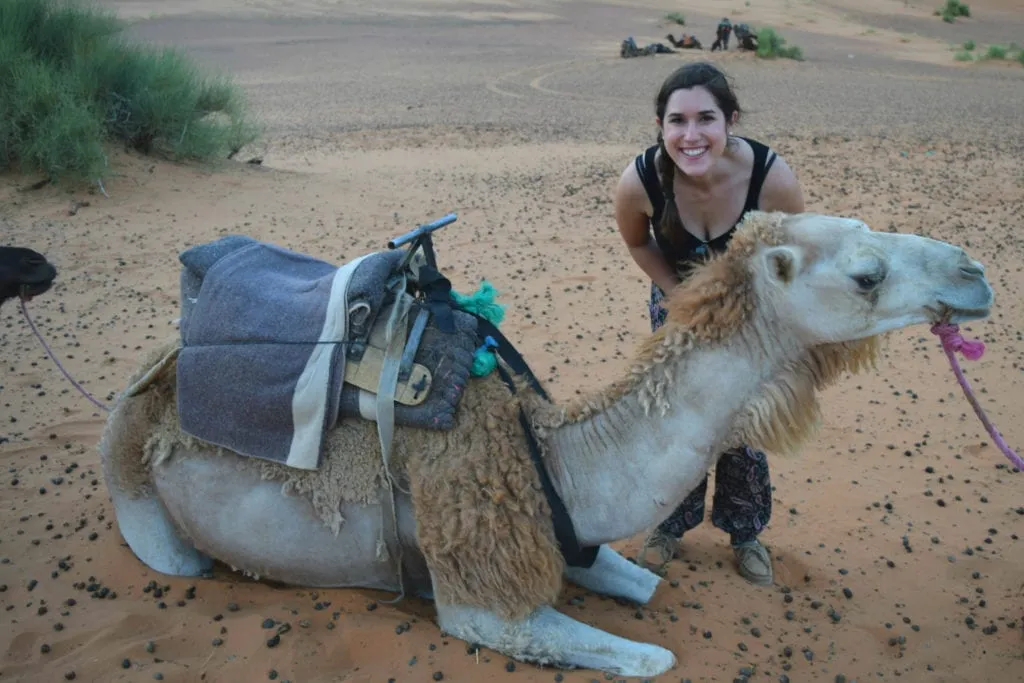 kate storm leaning over a camel laying down in the morocco desert