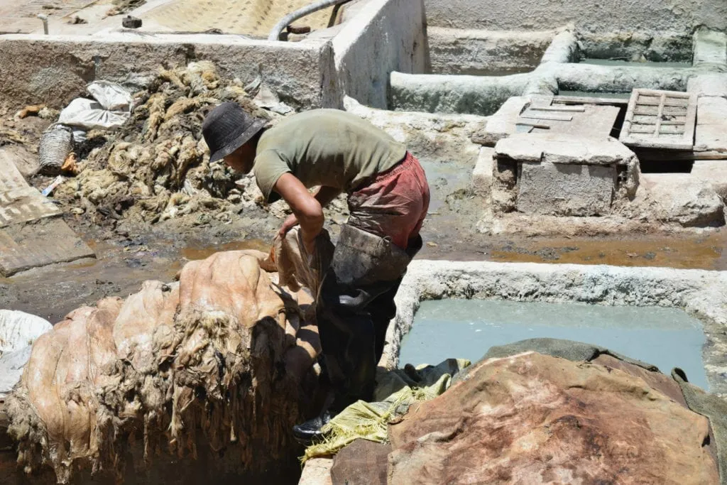 man choosing one of a pile of hides to treat in a morocco tannery