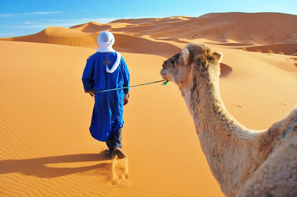 man in blue leading a camel as part of a sahara desert tour morocco