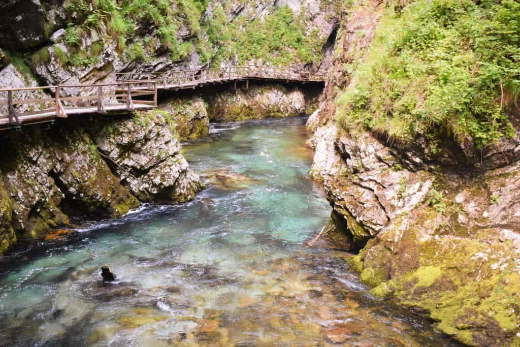 Slovenia Travel Budget: Vintgar Gorge