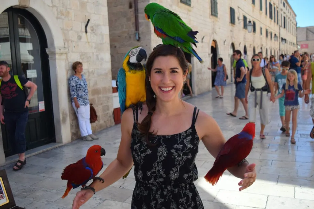 kate storm with 4 parrots on her shoulders in dubrovnik--definitely an experience worth adding to our trip to croatia cost