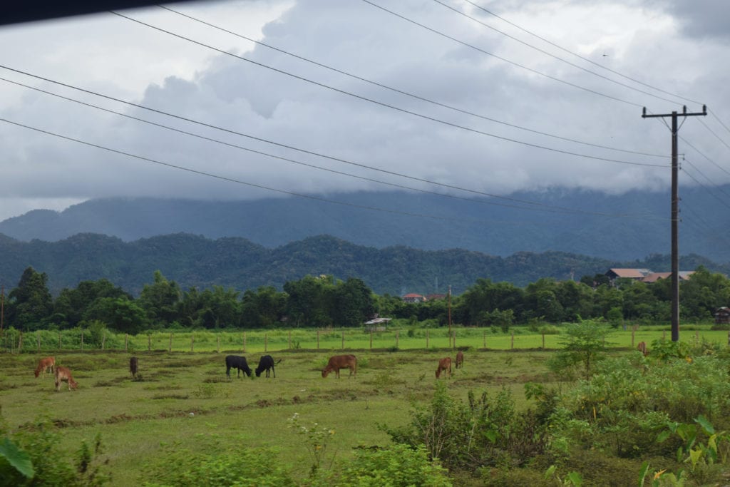 countryside views in laos as seen from a bus during the rainy season in laos
