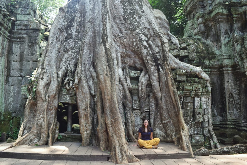 kate storm sitting on a wood bench in front of a temple being consumed by a tree in angkor wat cambodia