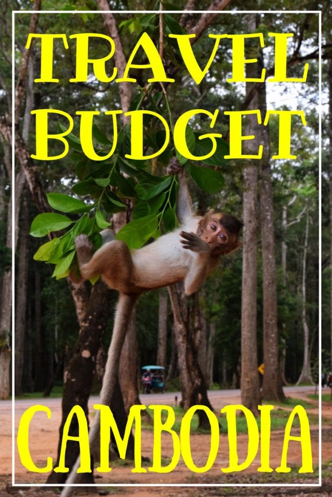 photo of a young monkey hanging from a tree branch at angkor wat, yellow text reads "travel budget cambodia"