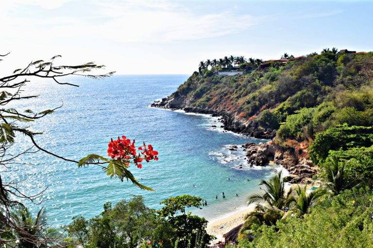 view of pacific ocean in puerto escondido mexico with red flower in the foreground. public beaches are a cheap way to make the most of your mexico travel budget