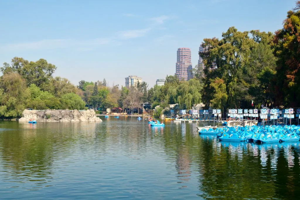 lake in chapultepec park mexico city with rowboats to the right