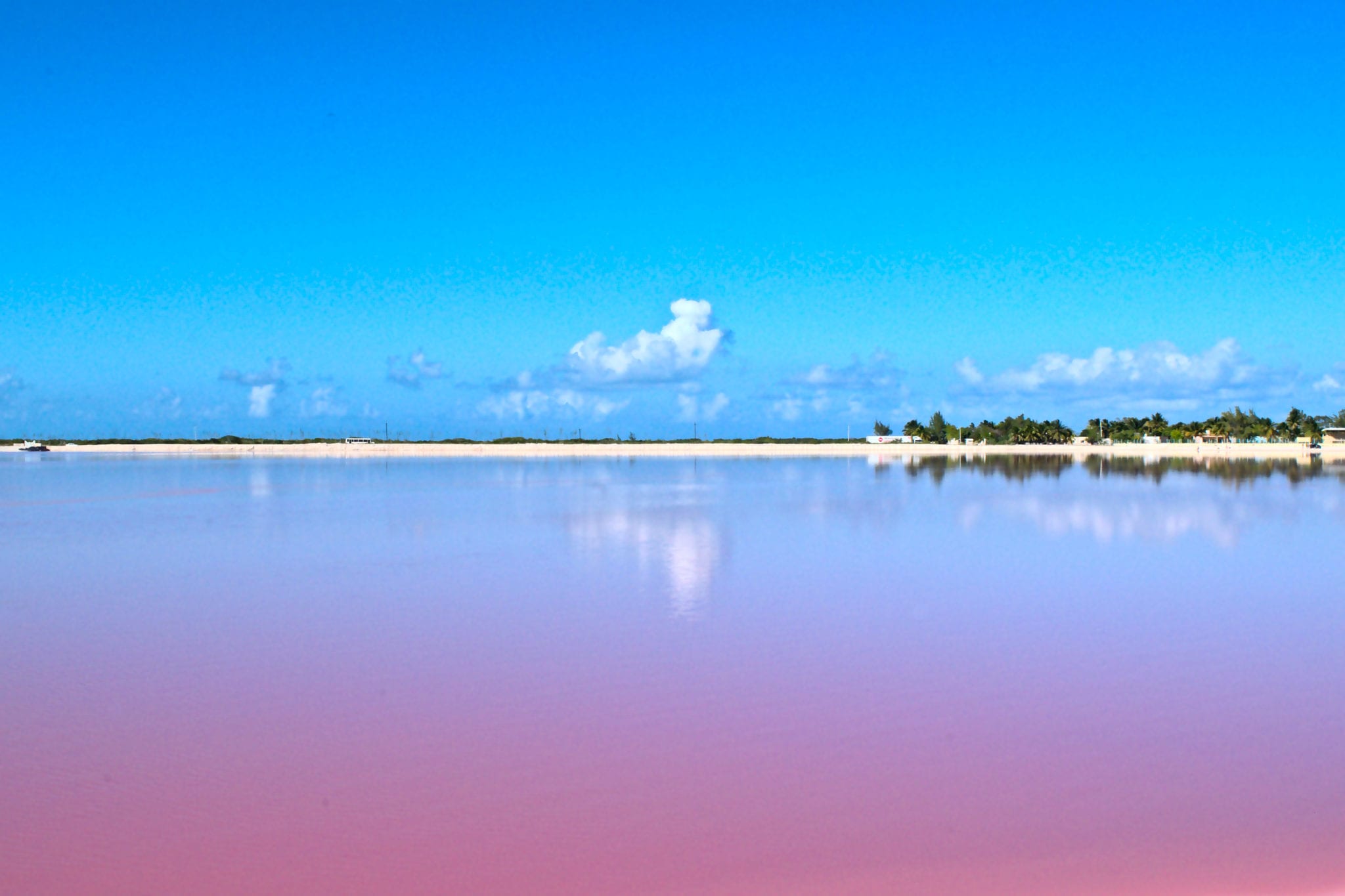 How To Visit the Pink Lakes of Las Coloradas, Mexico