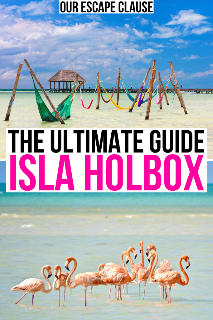 2 photos of holbox: hammocks in water and flamingos. black and pink text on a white background reads "the ultimate guide isla holbox"