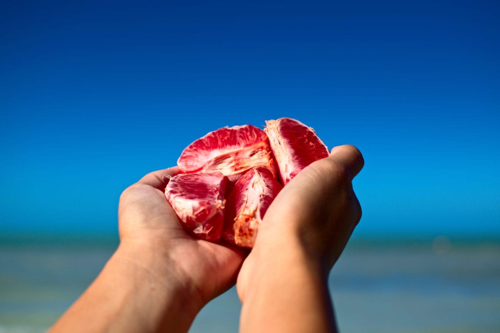 Explore Isla Holbox, Mexico