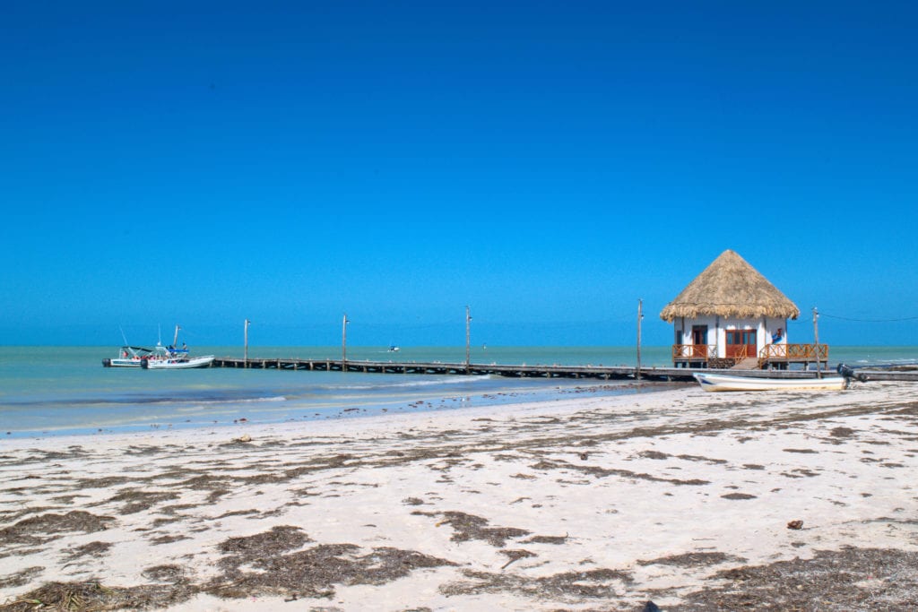 beach on isla holbox mexico with seaweed in the foreground