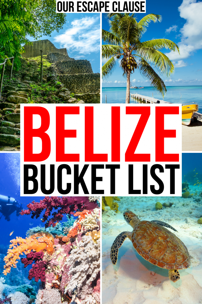 4 photos of belize attractions including caracol, caye caulker, coral reef, sea turtle. black and red text on a white background reads "belize bucket list"