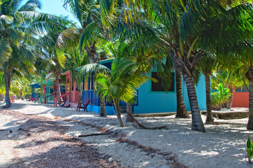 collection of colorful houses on the beach surrounded by palm trees in placencia belize