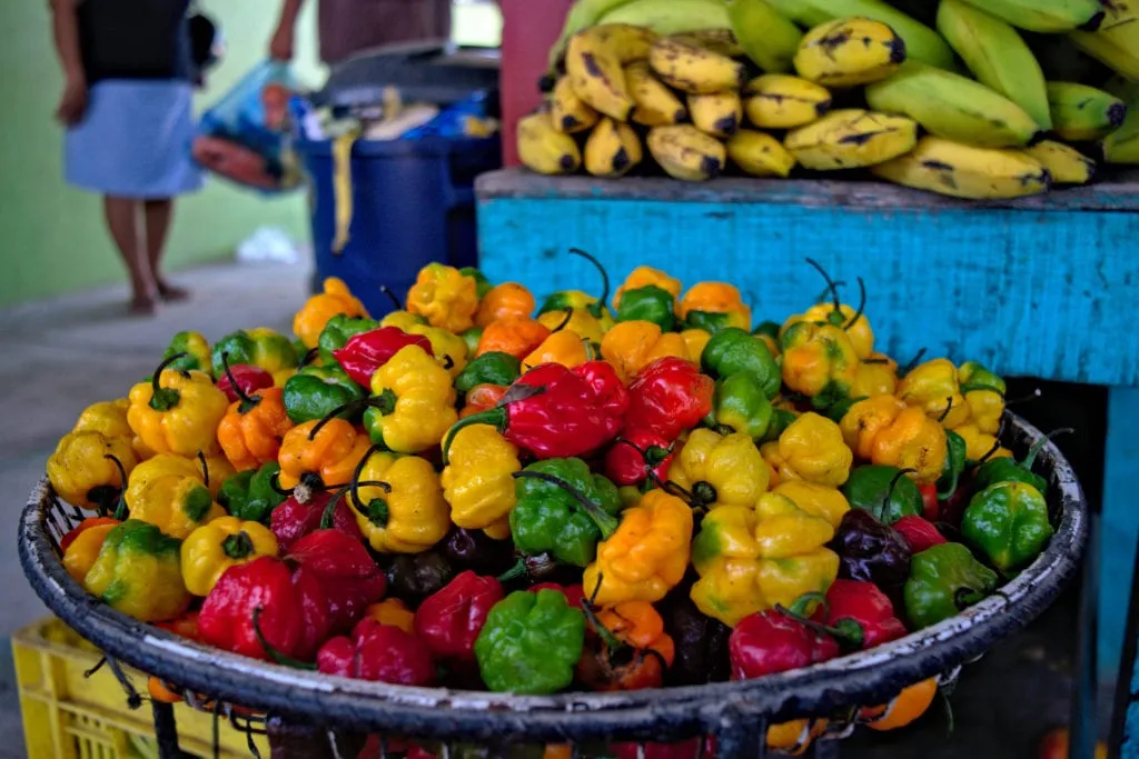 collection of peppers and bananas for sale at a market in san ignacio belize